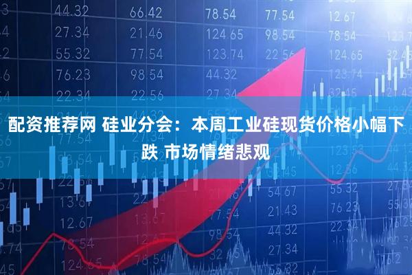 配资推荐网 硅业分会：本周工业硅现货价格小幅下跌 市场情绪悲观